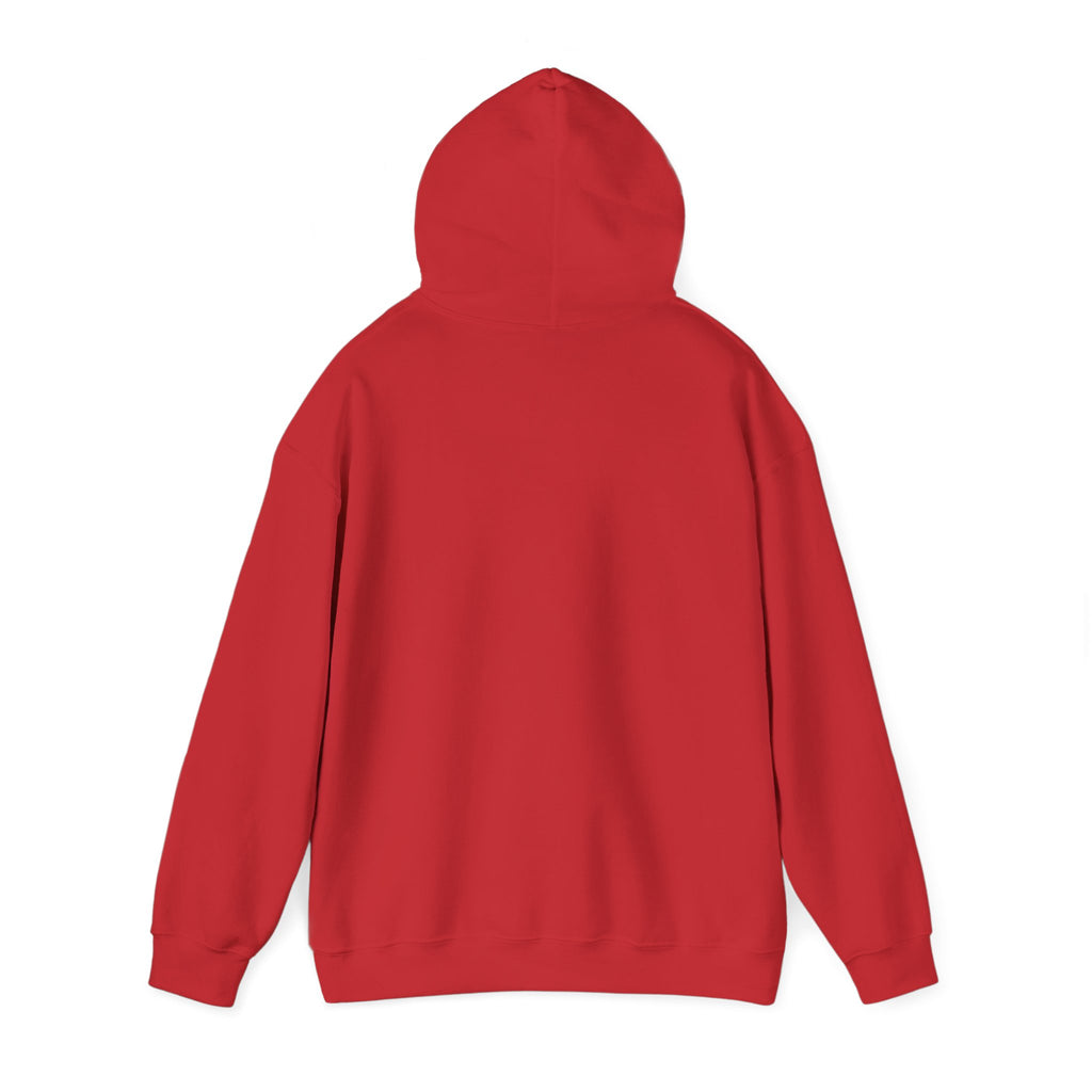 Hoodie - "ADHD Almost Magical" Comfort Pullover
